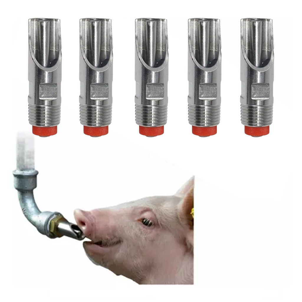 Kit Bebedouro Suíno Porco Adulto Chupetas Inox Mordida