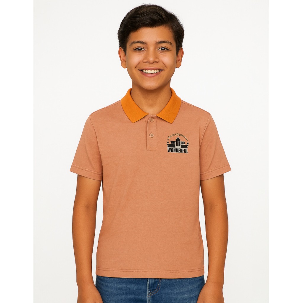 Pack 4 Camisetas Moda Juvenil Menino Manga Curta Polo Básica Brusinha Moderna Conjunto Versátil