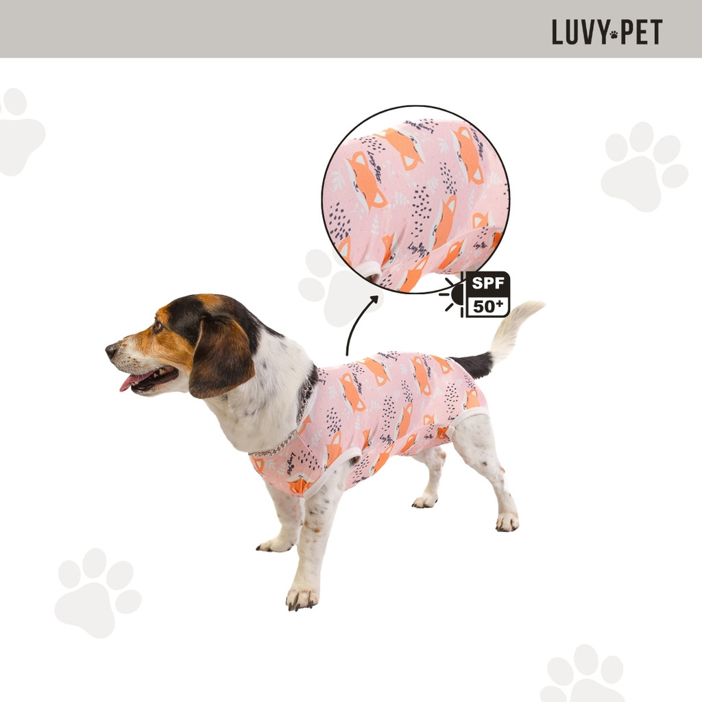 Roupa Pós Cirúrgica Para Cachorro Fêmea UV Salmão Raposa