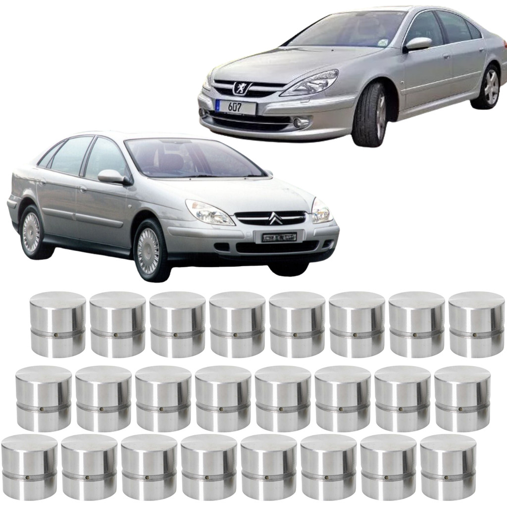 Jogo 24 Tuchos Hidraulicos Para Citroen C5 Peugeot 607 3.0 24V V6 ES9J4S