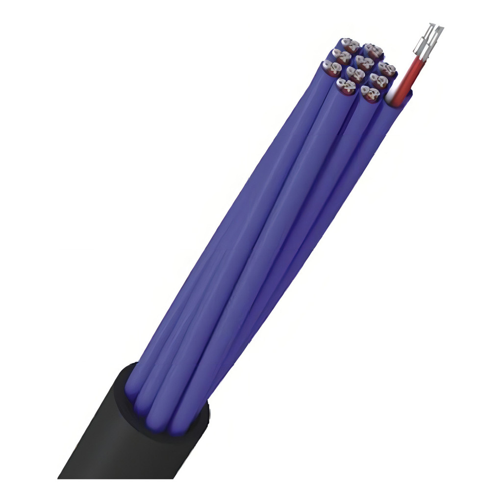 Fio Multicabo 12 Vias X 24awg Santo Angelo 10 Metros