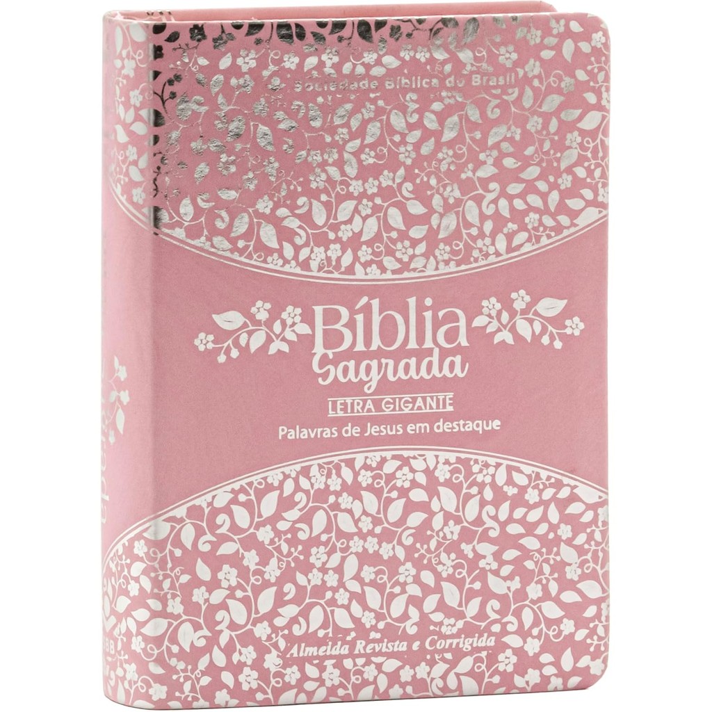 Bíblia Pequena Letra Gigante: Onde Comprar | BuscaProdutos