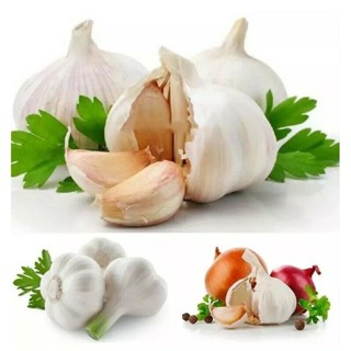 Legítimo  Pcs 200 500 Sementes de Alho Gigantes Sementes de Bulbo Orgânicas Heirloom Sementes de Vegetais para Jardim em Oferta na Shopee