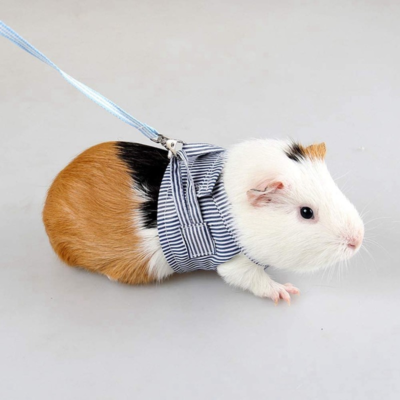 Conjunto De Colete E Trela Para Animais De Estimação Pequenos , Arnês Sem Puxar Esquilo Cobaia Pequeno Animal Andando Ci
