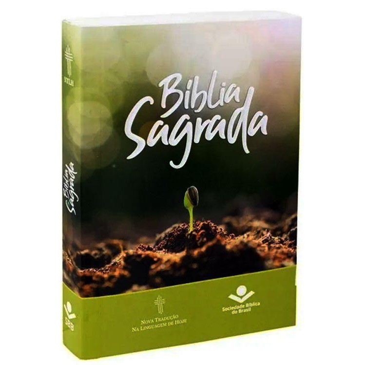 Kit com 7 Bíblia Sagrada Pequena NTLH | Brochura | Capa Semente