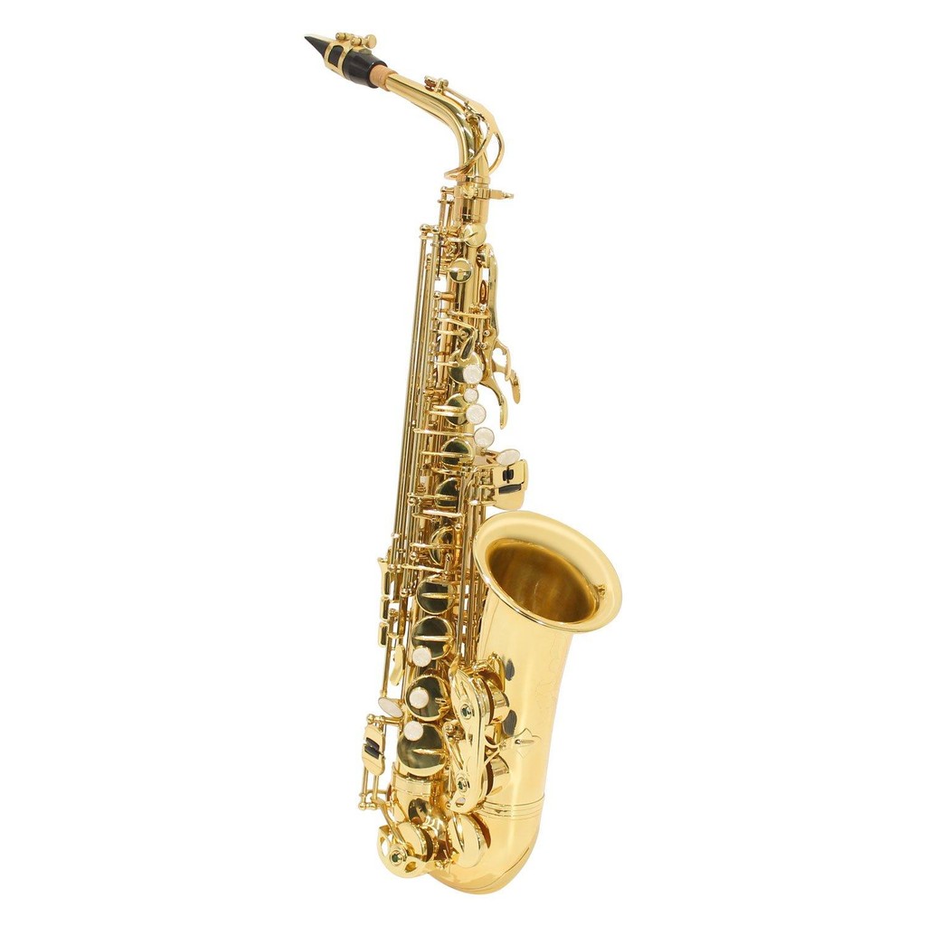 Saxofone Alto Laqueado EB Custom com Case em Oferta na Shopee