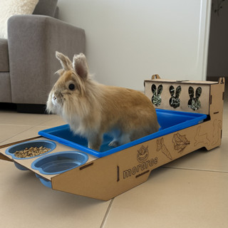 Alimentador de Feno com Caixa de Areia e Comedouro para Roedores em Oferta na Shopee