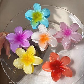 Clip de Cabelo Flor Clip de Cabelo ~ Presilha de Cabelo Flor Piranha de Flor Grampo de Cabelo Flor