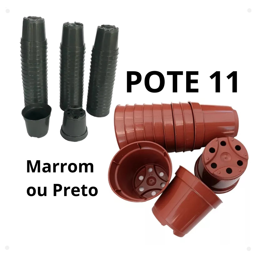 Plantas Temperos: Onde Comprar | BuscaProdutos