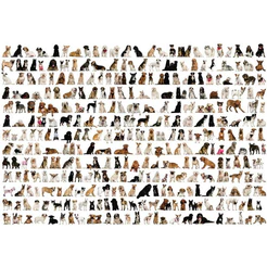 Quebra-cabeça Muitos Cachorros "Doguinhos" 1000 Peças Adulto