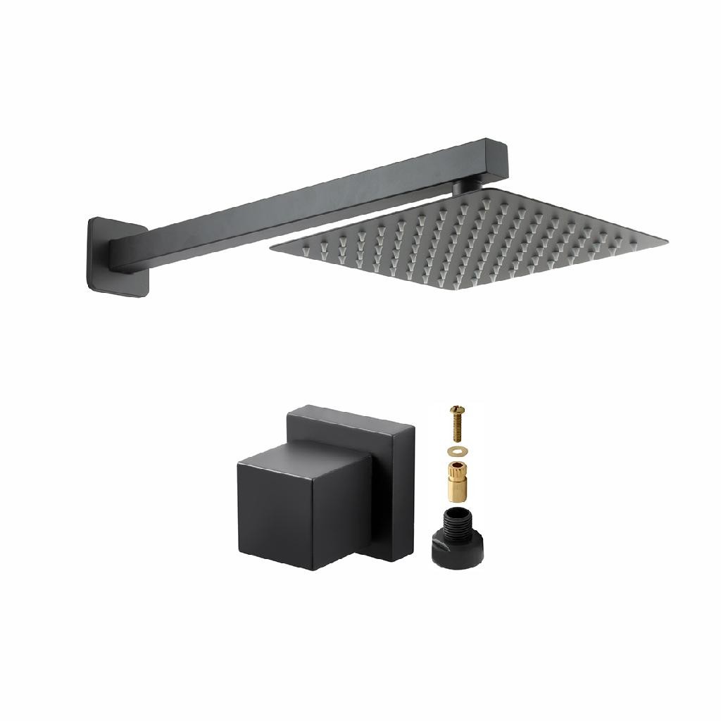 Chuveiro Ducha Inox Gás ou Solar 20x20 Preto + 1 Acabamento Para Registro Docol