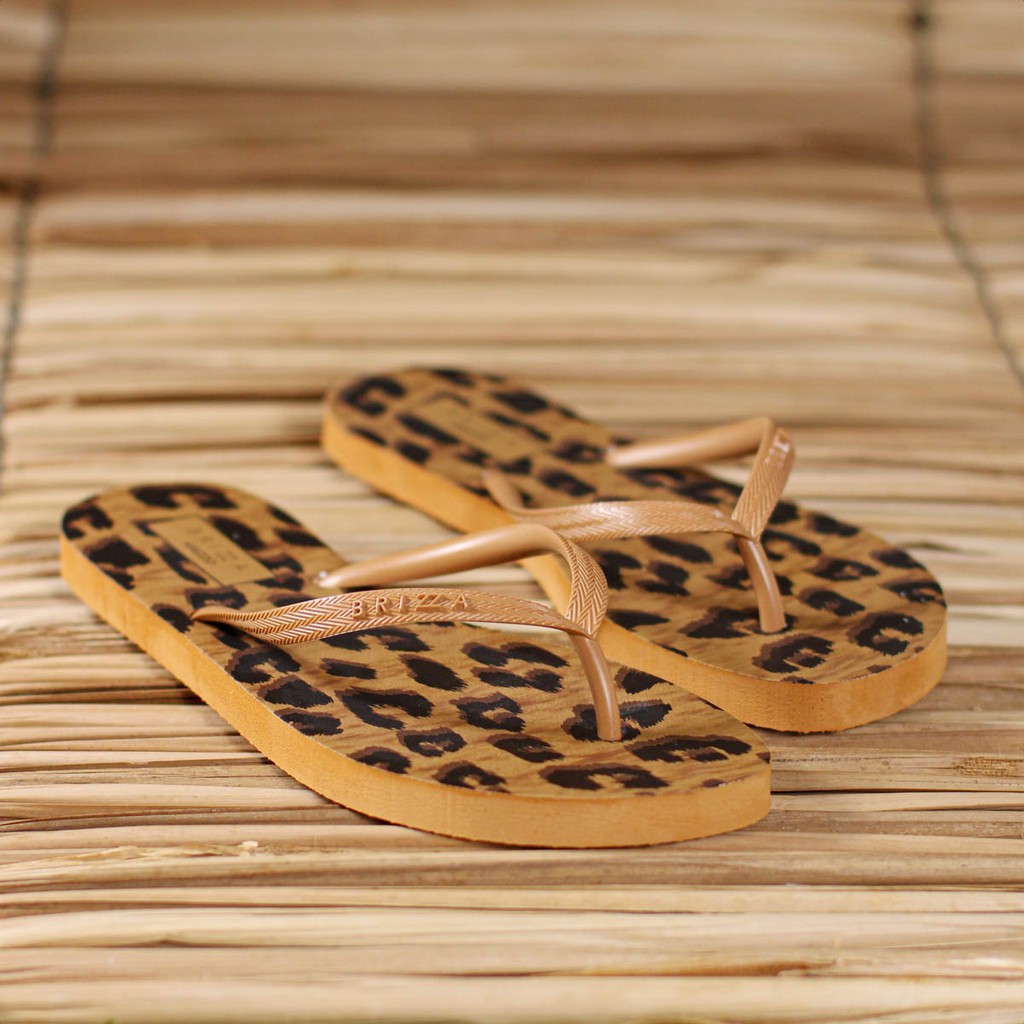 Chinelo Brizza Arezzo Animal Print Marrom - Feminino