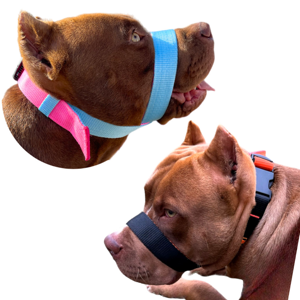 A N°1 Melhor Focinheira Do Mercado Para Cachorro Cão Pitbull Rottweiler Pastor Alemão Grande Porte
