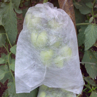 Saco proteção frutas legumes contra pragas doenças 18x22cm - 100 unidades em Oferta na Shopee