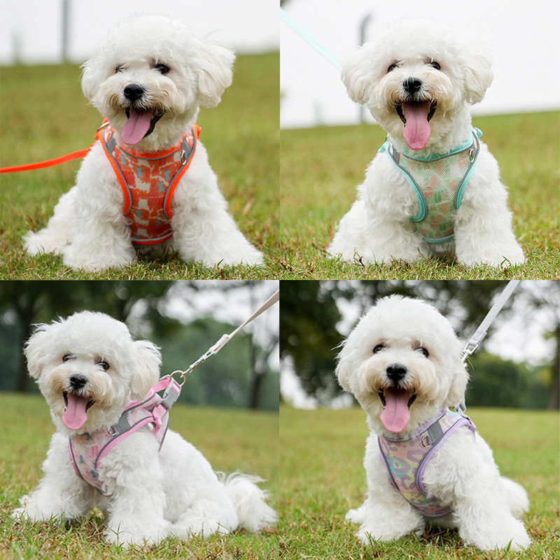 Coleira Peitoral Com Guia Cães Gatos Colorida Resistente Velcro Ajuste Rosa Laranja Verde PP, M E G