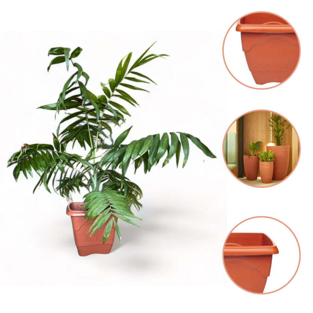 Kit 3 Vasos Quadrado Grande Terracota 12,5L Resistente Jardim De Casa Plantas Flores Decoração em Oferta na Shopee