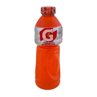 Gatorade Frutas Cítricas 500ml em Oferta na Shopee