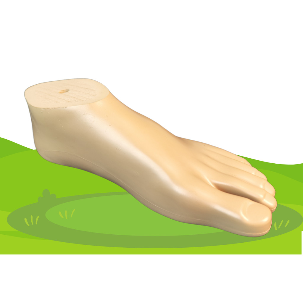 Pé Sach Prótese Perna Transtibial E Transfemoral Dedo Aberto