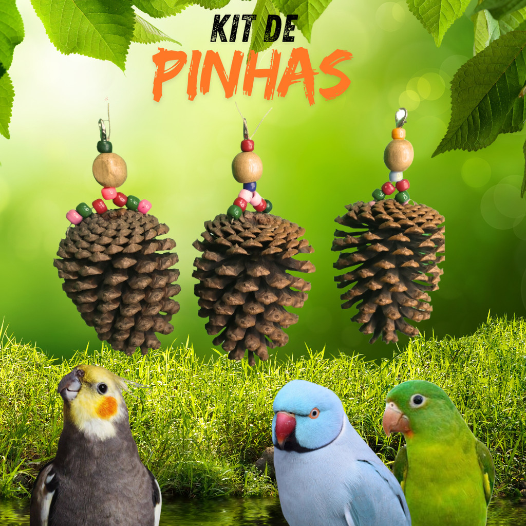 Brinquedo Penduricalho Pássaros  Kit Pinhas Calopsita, Agaporni, Periquito, Papagaio, Ring Neck em Oferta na Shopee
