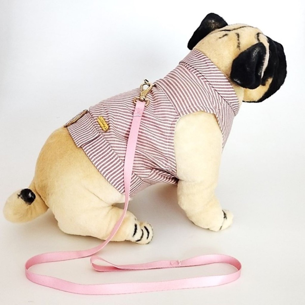 Roupa Jaqueta Delicate c/ Guia Cachorro Dudog Plus Size Acompanha Guia
