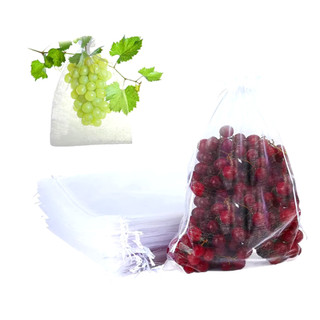 100 Saquinhos organza  20x30 Ideal para proteger frutas no pé