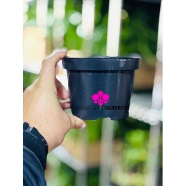 20 Vasos Pote 13 de 725ml Nutriplan Preto Flexível - Mudas Rosa do Deserto Suculentas Cactos