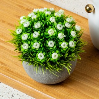 Kit 2 Vaso Buchinho Planta Artificial Folhagem Vasinho Arranjo Plantinha Planta Decorativo em Oferta na Shopee