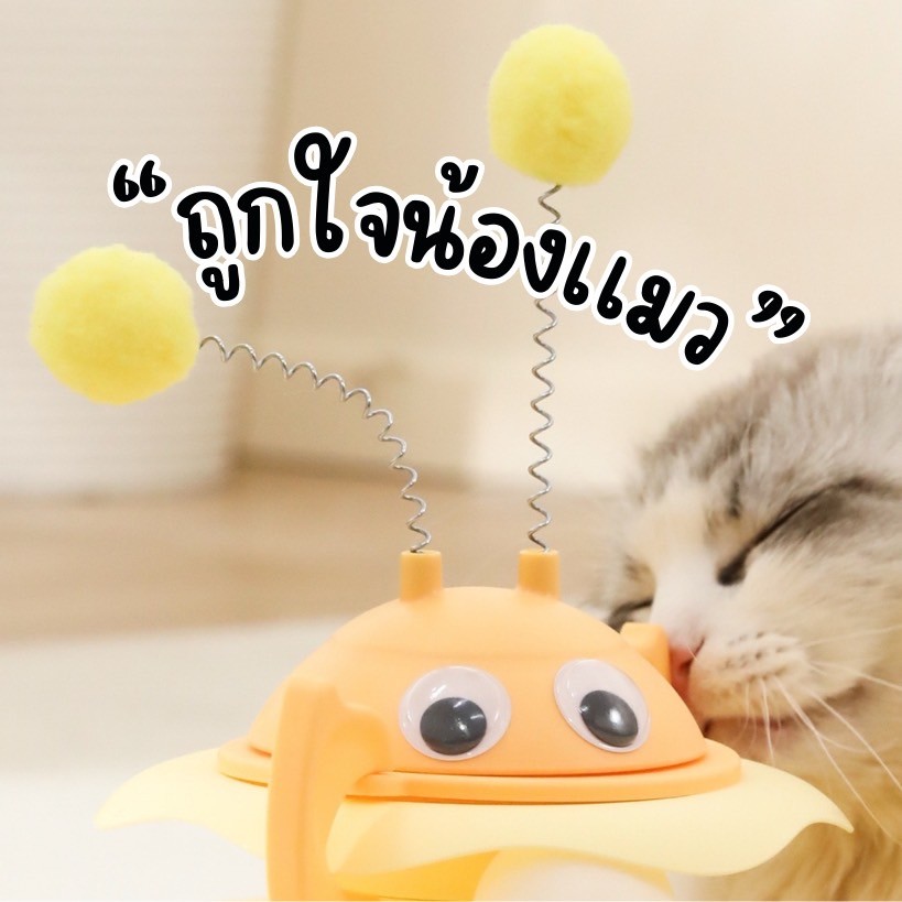 HM-ของเล่นสัตว์เลี้ยง รางบอลแมว ผึ้ง ของเล่นแมว  บอลแมว รางบอล - ภาพที่ 5