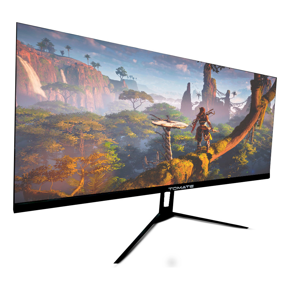 Monitor 29 Led 2k Ultrawide Hdmi Dp 75hz 1ms Vesa Ajustável