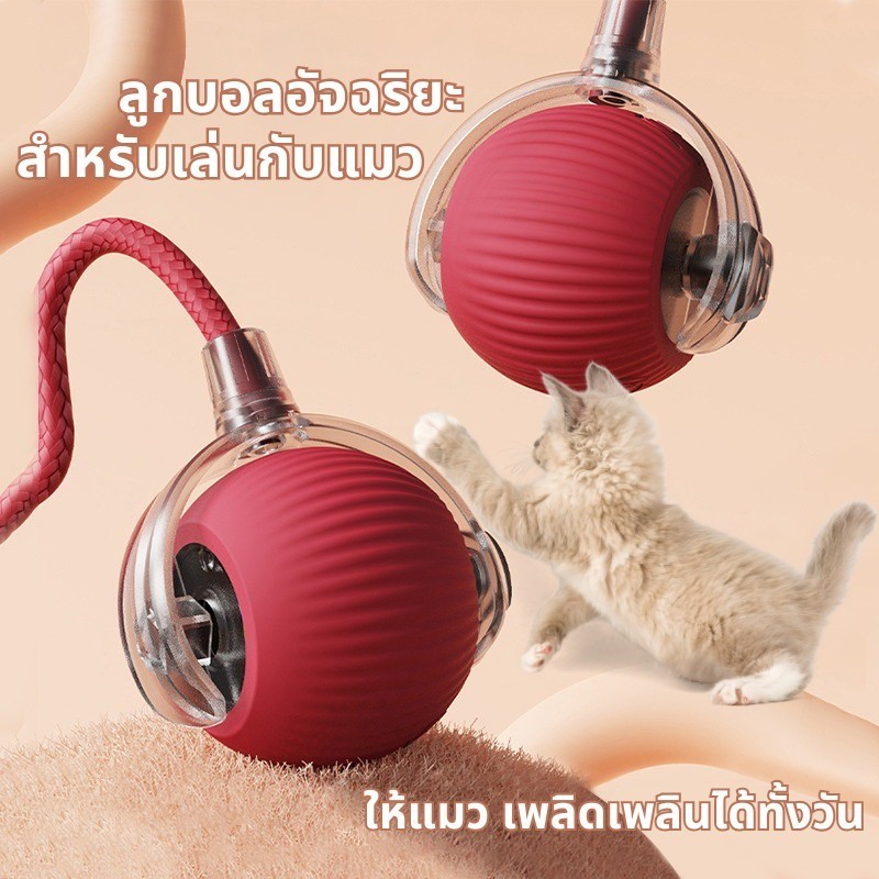 ลูกบอลแมว ลูกบอลแมวอัตโนมัติ แบบชาร์จไฟได้ ของเล่นแมว สมาร์ทไฟฟ้า หมุน ของเล่นแมวแบบโต้ตอบ อุปกรณ์สําหรับแมว - ภาพที่ 5
