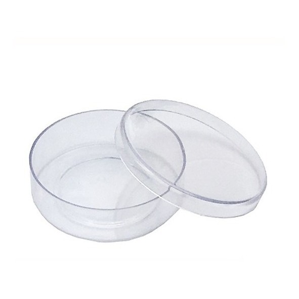 100 Latinhas Plásticas 5x1 Lembrancinha Mint To Be Cristal