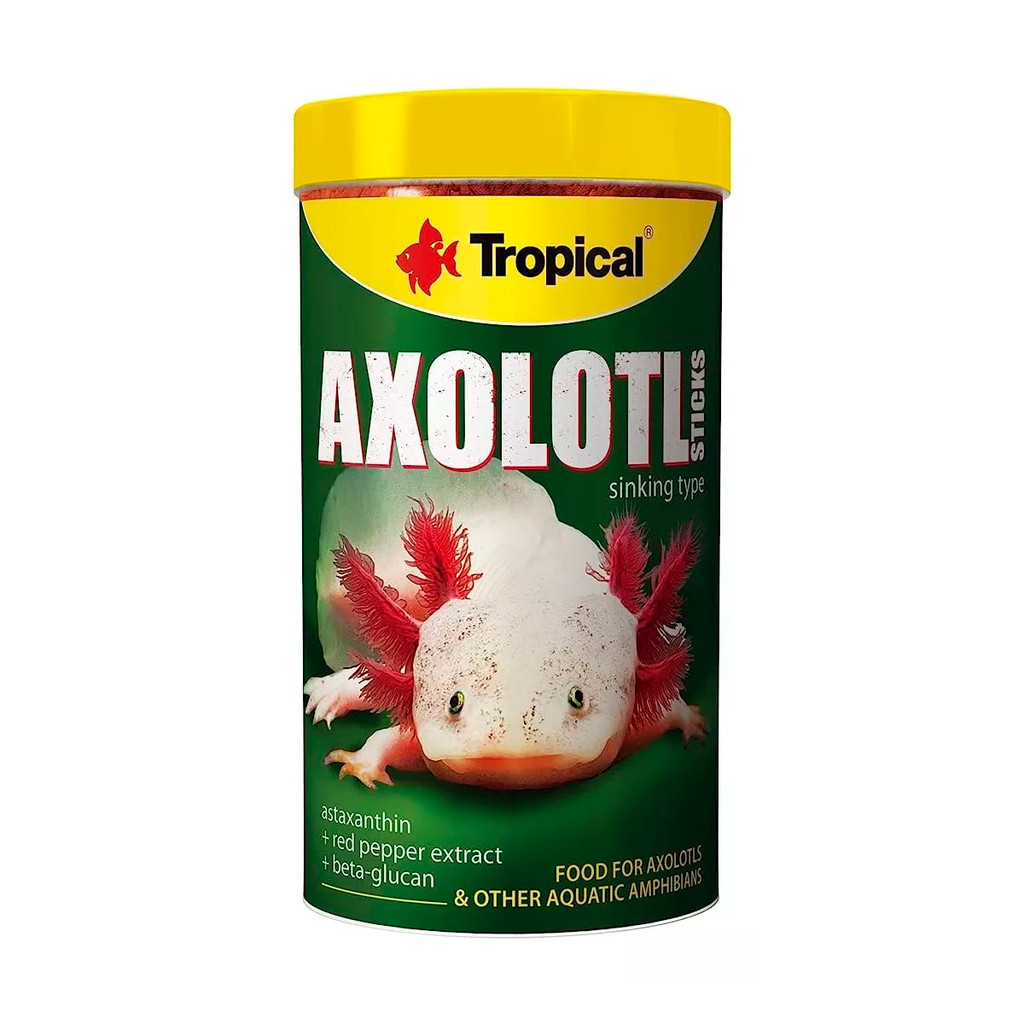 Axolote Aquário: Onde Comprar | BuscaProdutos