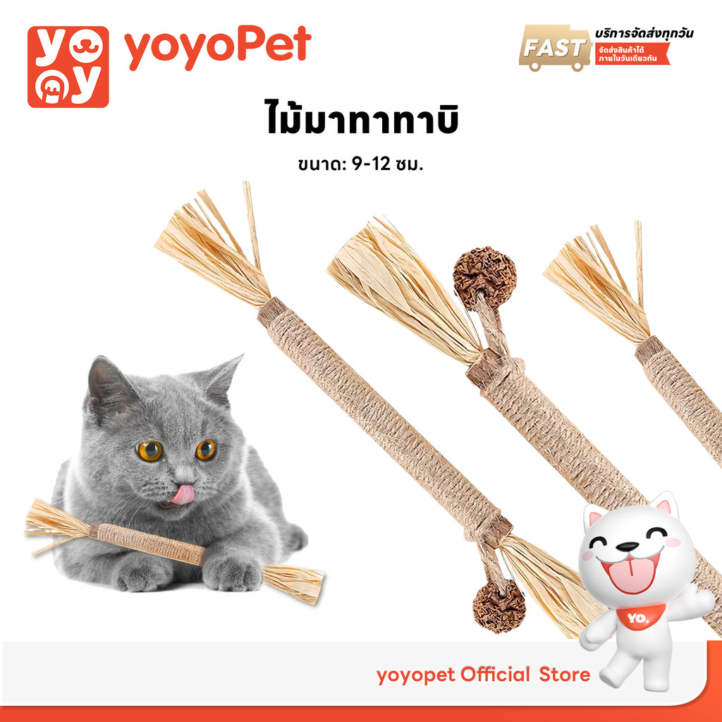 yoyopet : ไม้มาทาทาบิ ขัดฟันแมว ไม้เเมวเมา แบบเชือก ขัดฟันแมว ลดคราบหินปูน ของเล่นสําหรับสัตว์เลี้ยง - ภาพที่ 3