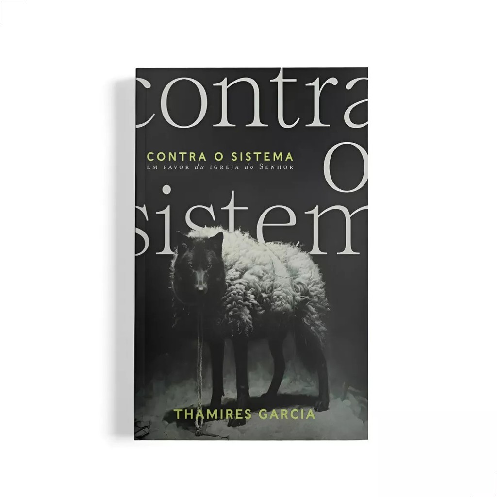 Contra o Sistema | Thamires Garcia