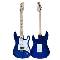 Guitarra Stratocaster Shelter SSW ASH PRO HSS