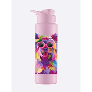 Garrafa Bandeirante Sport Dog Collor 750ML em Oferta na Shopee