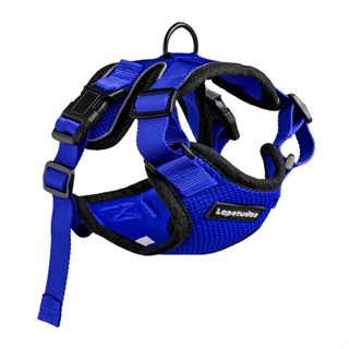 Peitoral para Cachorros Lopetudos KittyComfort1, P, Azul, LP-PTKC-PBL em Oferta na Shopee