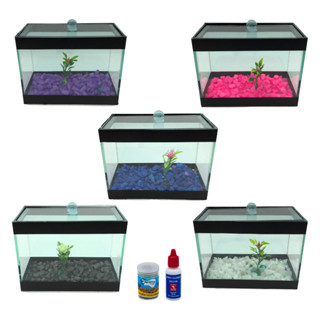 Aquario Retangular Com Pedras Coloridas Anticloro 20ml E Ração Para Para Peixe Beta 5g em Oferta na Shopee