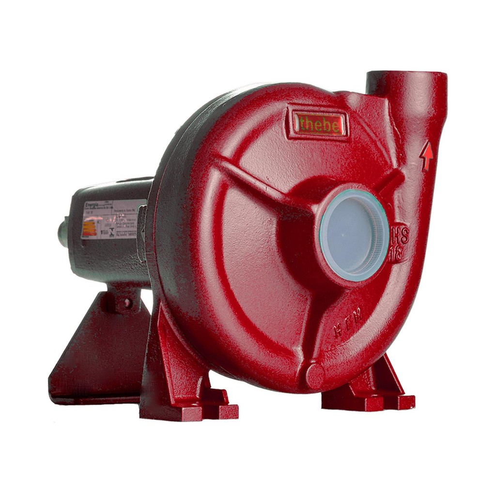 Bomba Mancal Thebe Thsi-18 5.0 Cv Rotor 141 Mm Vermelha
