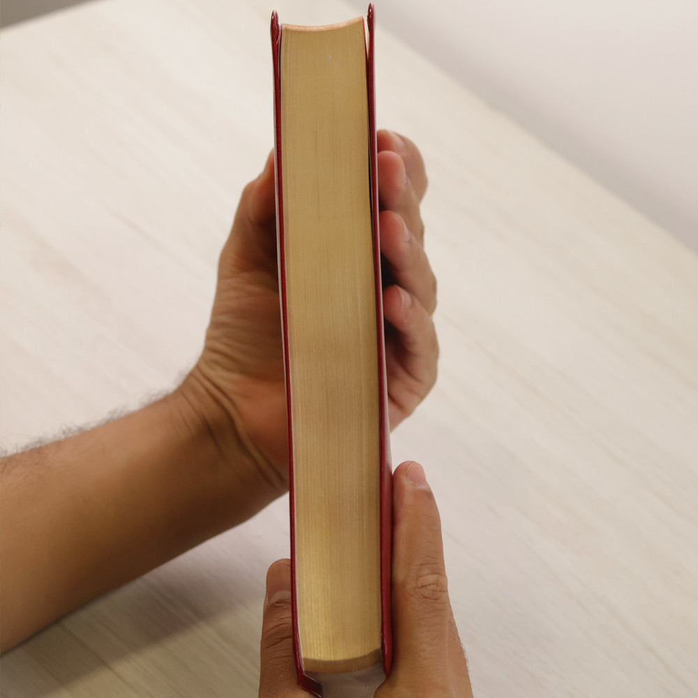 Detalhes do Bíblia Sagrada Leitura Perfeita | NVI | Letra Gigante | Capa Couro Soft Vinho