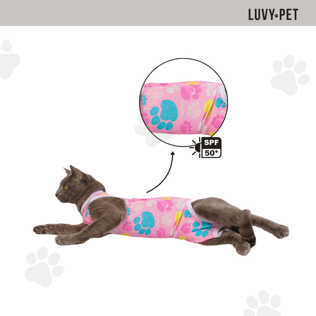 Roupa Gato Pós Cirúrgica Castração Patas em Oferta na Shopee