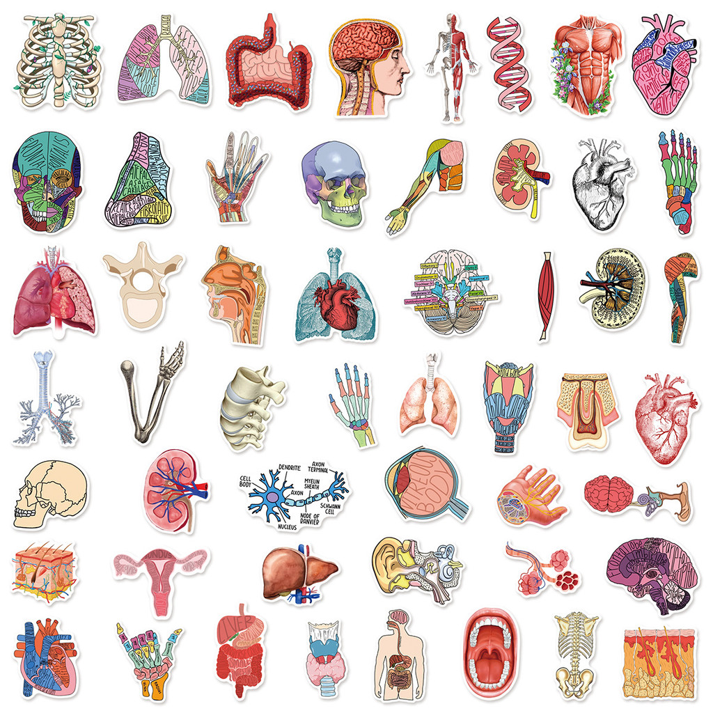 Adesivos De Graffiti De Anatomia De 50 Peças | Decalques De PVC À Prova D'água Para Guitarra E Telefone (Kit DIY De Arti — imagem 2 de 2
