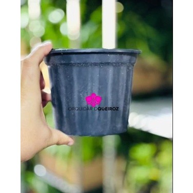 10 Vasos Pote 15 de 1.160ml Nutriplan Preto Flexível - Mudas Rosa do Deserto Suculentas Cactos