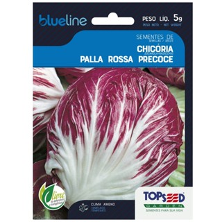 Sementes de Chicória Palla Rossa Precoce Blueline TOPSEED em Oferta na Shopee