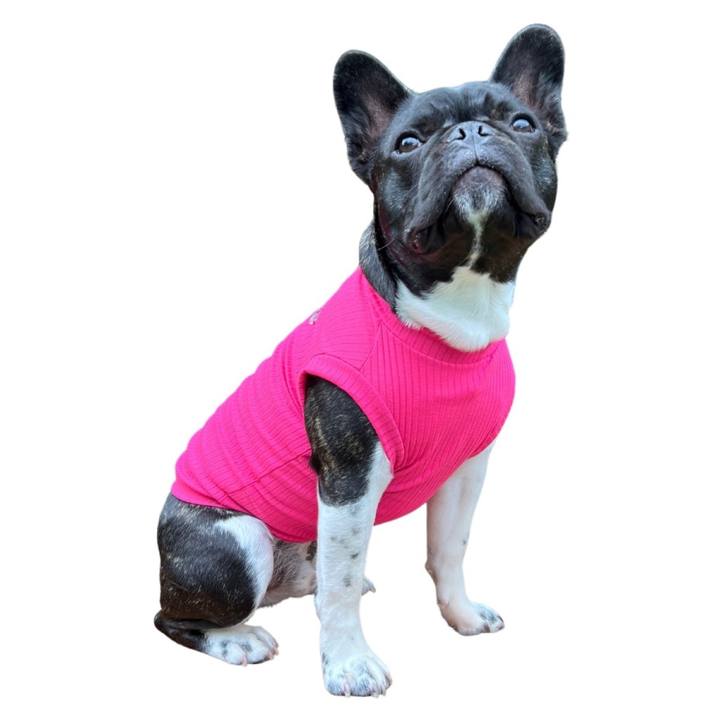 Camiseta Cachorro Regata Canelada Gola Alta Moda Pet Aumei