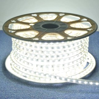 1 a 10 Metros Fita Mangueira Led 5050 Branco Frio/Quente 110v de + Fonte de Alimentação/Rabicho em Oferta na Shopee