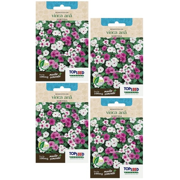 4X Sementes de Vinca Anã Sortida 100mg Maria Sem Vergonha Boa Noite Flores Jardins Vasos