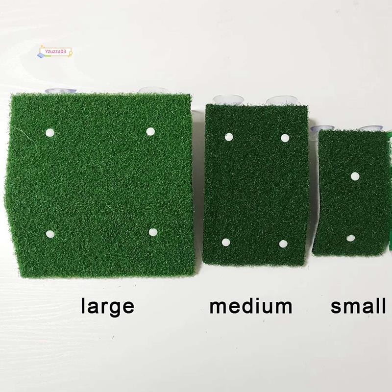 O que é Rampa para Tartaruga? Guia e Onde Comprar | BuscaProdutos