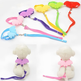 Coleira Peitoral Anjo para Gato Pet Colorido Ajustável com Guia e Asa 024-084 em Oferta na Shopee