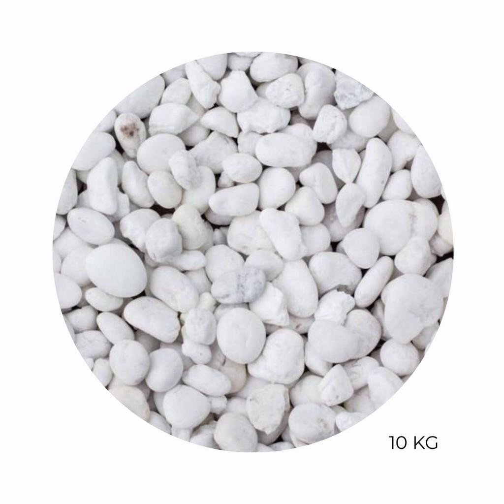 Pedra Branca Dolomita 10Kg seixo Para Decoração de Vaso Jardim Ornamentais